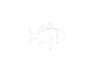 Heworth Plaice Fish and Chips Logo